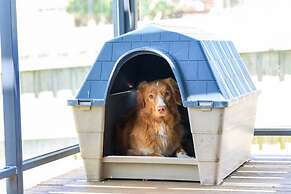 Your Ocean Oasis Ocean Country Views Spa Pet Friendly Fireplace