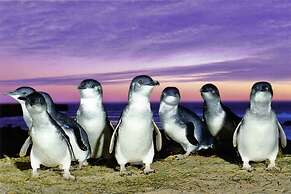 Your Ocean Oasis Ocean Country Views Spa Pet Friendly Fireplace