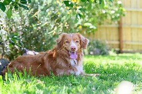 Your Ocean Oasis Ocean Country Views Spa Pet Friendly Fireplace