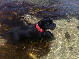 Colours By The Sea Wheelchair Pet-friendly Waterfront Retreat Fireplac