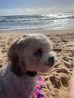 Colours By The Sea Wheelchair Pet-friendly Waterfront Retreat Fireplac
