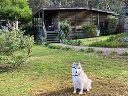 Groovy Log House Lorne Ocean View Log House Pet Friendly Freshly Renov