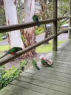 Groovy Log House Lorne Ocean View Log House Pet Friendly Freshly Renov