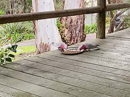 Groovy Log House Lorne Ocean View Log House Pet Friendly Freshly Renov