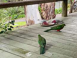 Groovy Log House Lorne Ocean View Log House Pet Friendly Freshly Renov