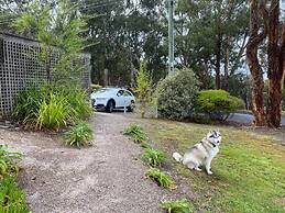 Groovy Log House Lorne Ocean View Log House Pet Friendly Freshly Renov