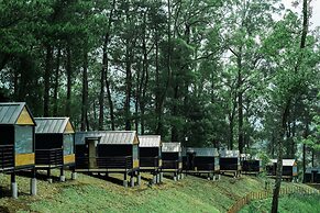 Bobocabin Coban Rondo Malang