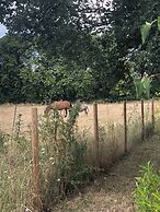 LE BOIS DES CHAMBRES