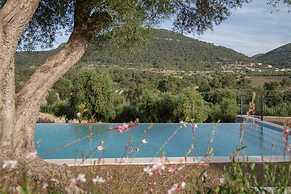 Treurer Olive Grove & Grand House - Adults Only