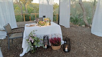 Treurer Olive Grove & Grand House - Adults Only