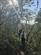 Treurer Olive Grove & Grand House - Adults Only