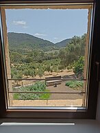 Treurer Olive Grove & Grand House - Adults Only