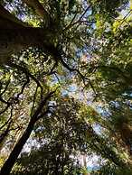 CIPRES Ecolodge & Spa