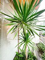 Baphu Apartment-5min walk to MyKhe beach