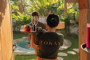 Villa Tokay - Luxury Private Villas