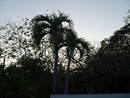 Cote Pacific Casitas