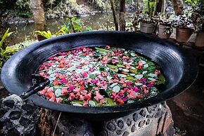 Banlaw Pool & Garden