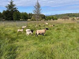Lopez Farm Cottages & Tent Camping