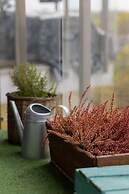 Stylish Apartment Rydygiera by Renters