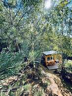 Boutique Glamping Divja DiVine