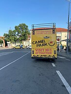 Panorama-apartmentsChantall