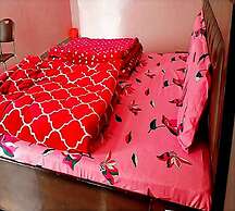 Shivay Kingdom Eco Cottage And Huts