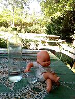 Roulotte et Gite en Drome Provencale