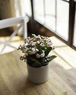 DOMAINE DU MOULIN DE VILLEFRANCHE