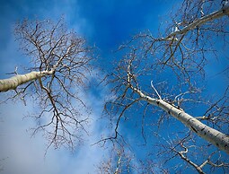 Lucky Bay Hideaway - Seaview Sauna & Cedar hot tub