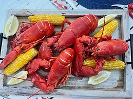 Lucky Bay Hideaway - Seaview Sauna & Cedar hot tub