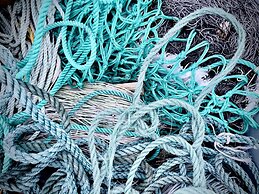 Lucky Bay Hideaway - Seaview Sauna & Cedar hot tub