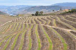 Feel Discovery Quinta do Muro