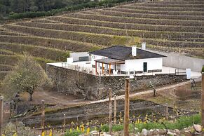 Feel Discovery Quinta do Muro