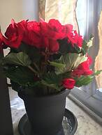 Captivating 2-bed Apartment in Grottole