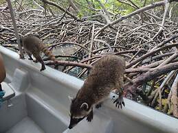 Baru Jet Set Beach & Hostal