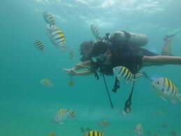 Baru Jet Set Beach & Hostal