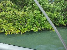 Baru Jet Set Beach & Hostal