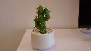 The Matrix One Managed by Anstay Residence