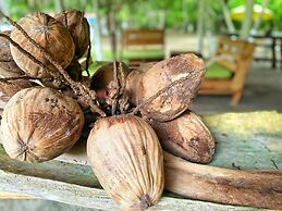 Eco Hotel bosque encantado