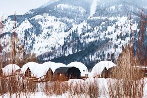 Tammah Jackson Hole