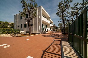 Gi al Minareto South