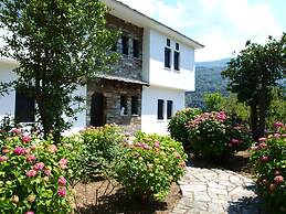 Apartment Zoe Pelion