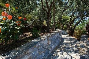 Barbarella Superior Apartment