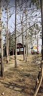 Nepal Himalayan Paulownia Resort