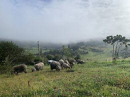 El Respiro de La Colina