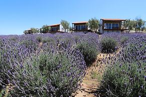 Montevalle Spa & Wellness Resort