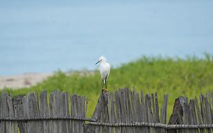 Palaa Mayapo Ecolodge