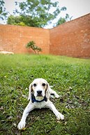 Amã Stays & Trails Forest Home, Hosur