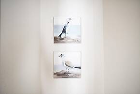 Spiaggia Rosa in Golfo Aranci