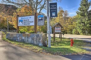 Pet-friendly Condo: Walk to Beech Mtn Resort!